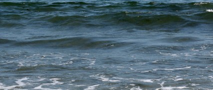 Atlantic ocean with tiny learning sailboats